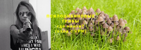 шишки Армянск