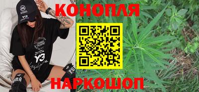 крисы Абакан