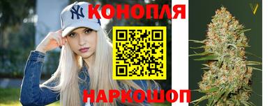 крисы Абакан