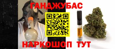 крисы Абакан