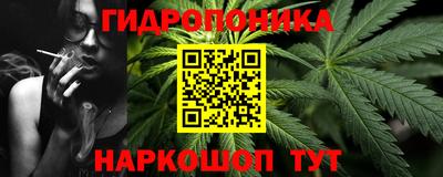 крисы Абакан