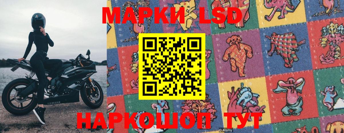 Марки 25I-NBOMe 1,8мг  Вход с VPN  Марки 25I-NBOMe 1,8мг  где купить наркоту  Лесной 