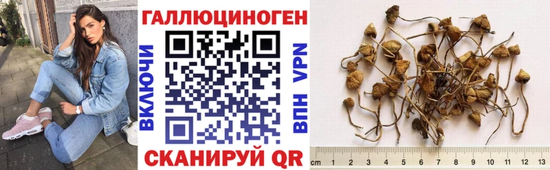 Галлюциногенные грибы MAGIC MUSHROOMS хочу наркоту Лесной