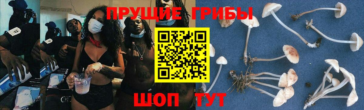 Галлюциногенные грибы Magic Shrooms Лесной
